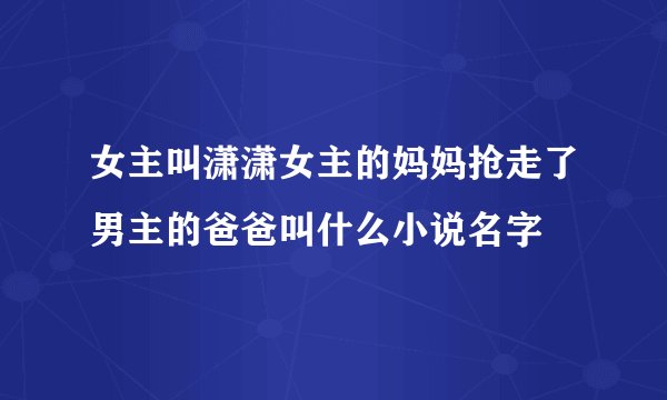 女主叫潇潇女主的妈妈抢走了男主的爸爸叫什么小说名字