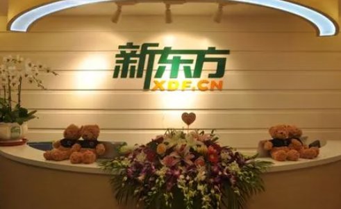 中小学课外辅导机构有哪些？