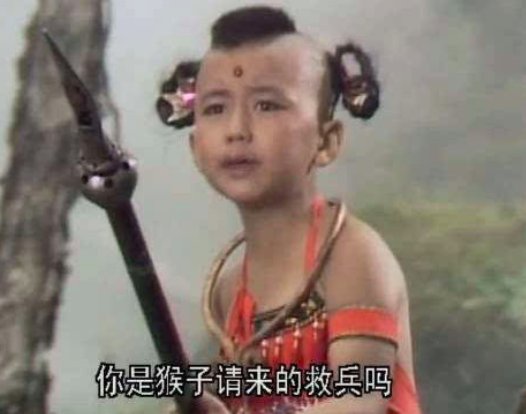 你是猴子搬来的救兵吗 这句话是什么意思啊