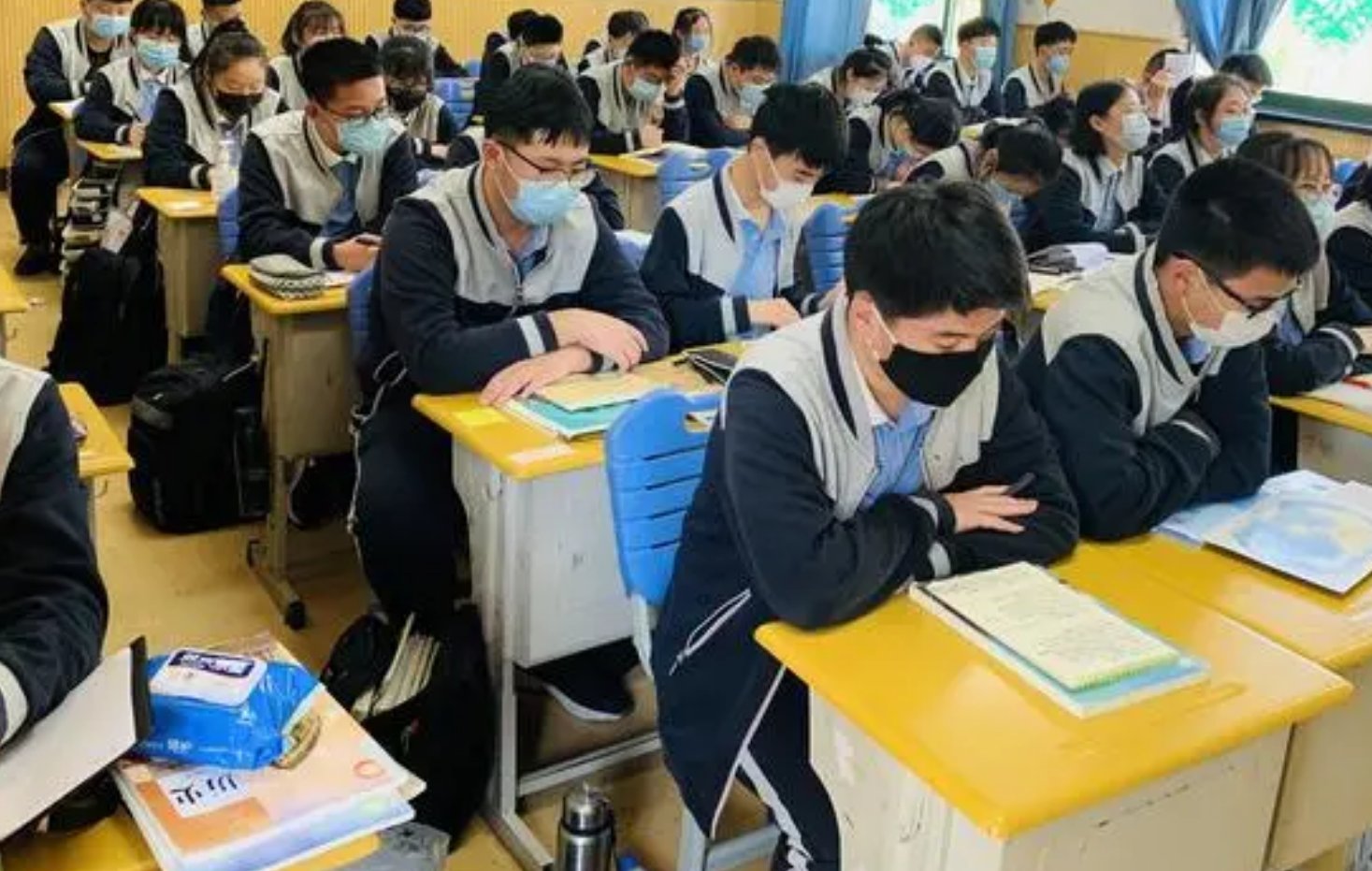 哈昂哈昂啊昂动图