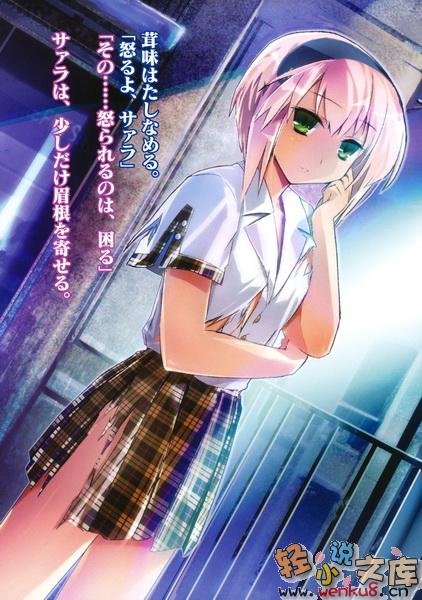 超钢女雪拉的介绍