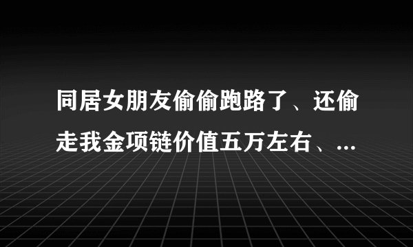 同居女朋友偷偷跑路了、还偷走我金项链价值五万左右、起诉法院受理吗。