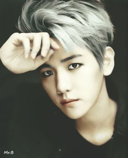 EXO《魅力先生》高清图片