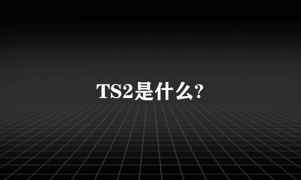 TS2是什么?