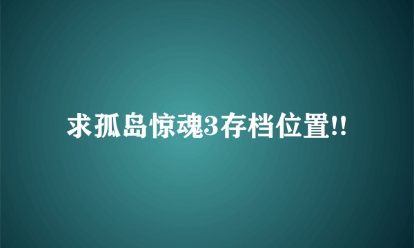 求孤岛惊魂3存档位置!!