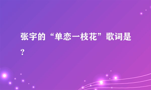 张宇的“单恋一枝花”歌词是？