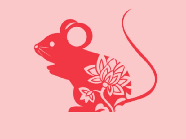 貌不惊人的意思解一生肖