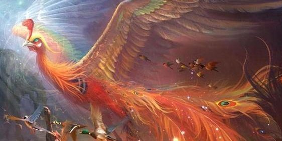 凤凰啼血是什么意思