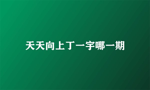 天天向上丁一宇哪一期