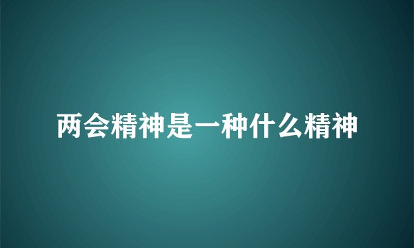 两会精神是一种什么精神