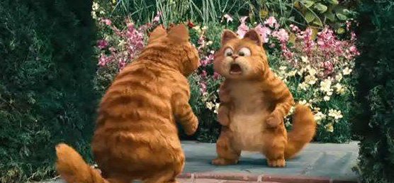 TC是什么版本？