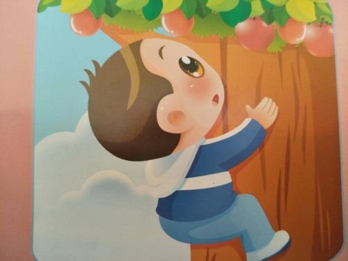 男孩楼顶攀爬妈妈求教育方法