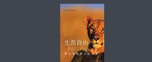 生而自由,爱而无畏是什么意思？