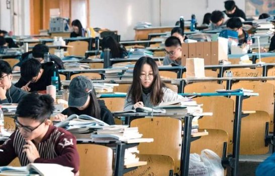 张雪峰考研人数