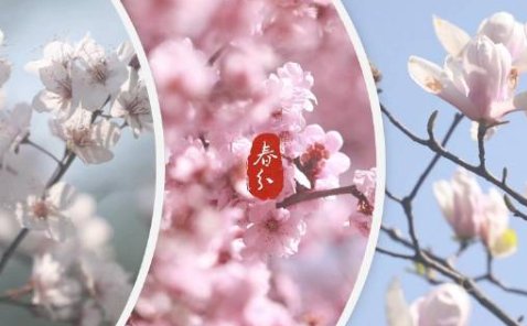 春分的四句古诗