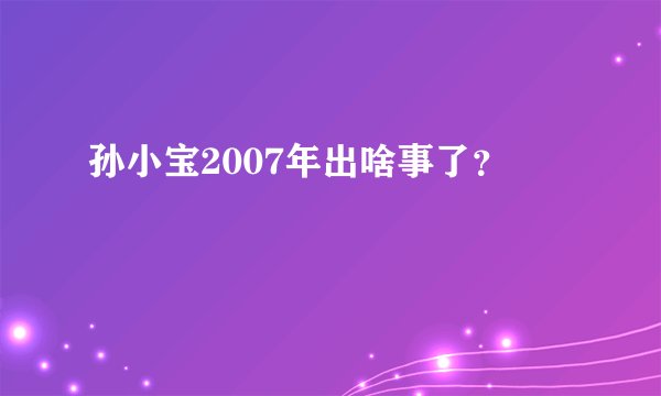 孙小宝2007年出啥事了？