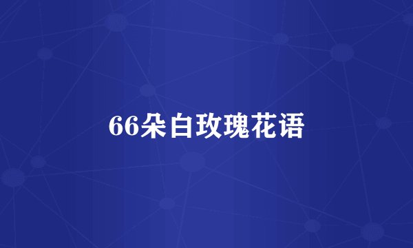 66朵白玫瑰花语