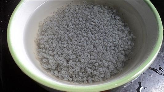 罗列子有什么作用