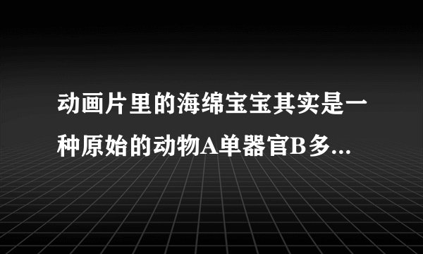 动画片里的海绵宝宝其实是一种原始的动物A单器官B多器官C单细胞D多细胞