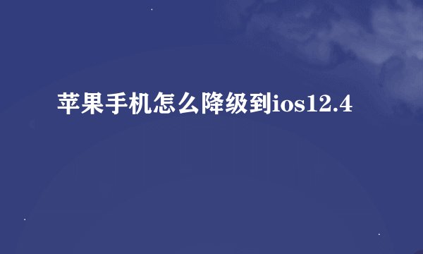 苹果手机怎么降级到ios12.4