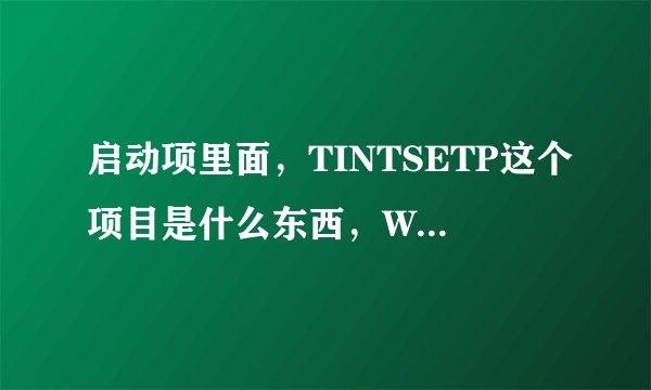 启动项里面，TINTSETP这个项目是什么东西，WHO指点一下，感谢中》》》