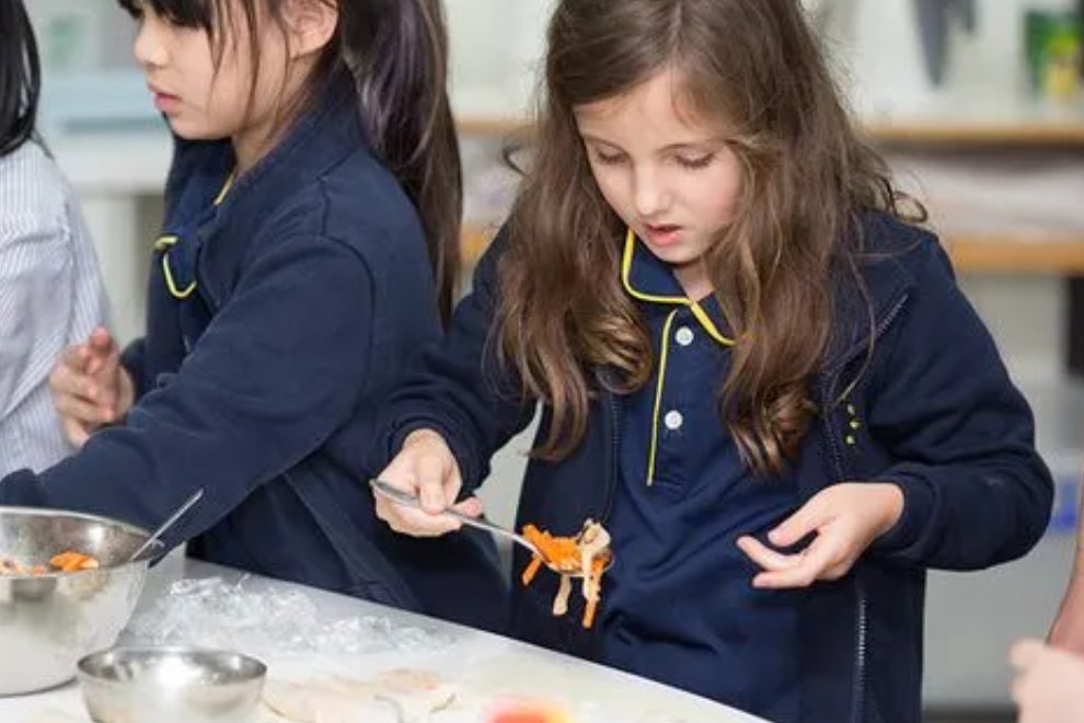 国际学校eca课程是什么