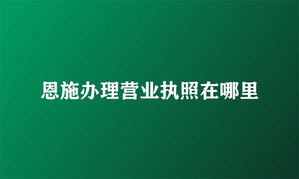 恩施办理营业执照在哪里