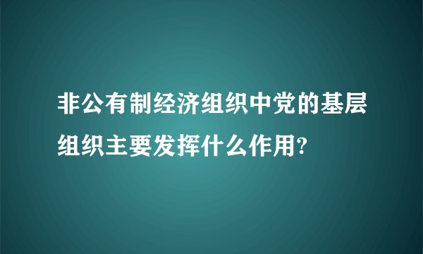 非公有制经济组织中党的基层组织主要发挥什么作用?