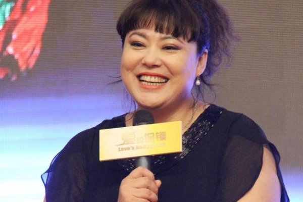 李菁菁主演过的电视剧