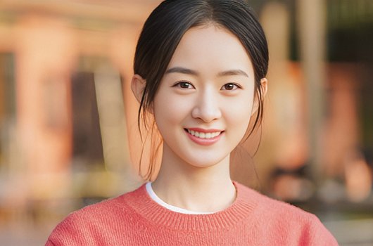 郑晓龙导演的作品