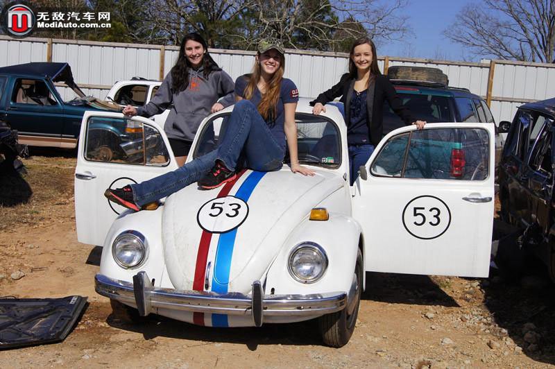 疯狂甲壳虫的剧情简介