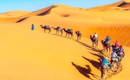 南极有世界上最大的沙漠吗