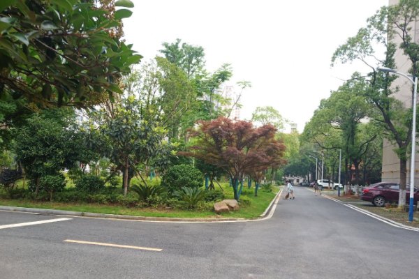 湖南信息职业技术学院单招录取线2023