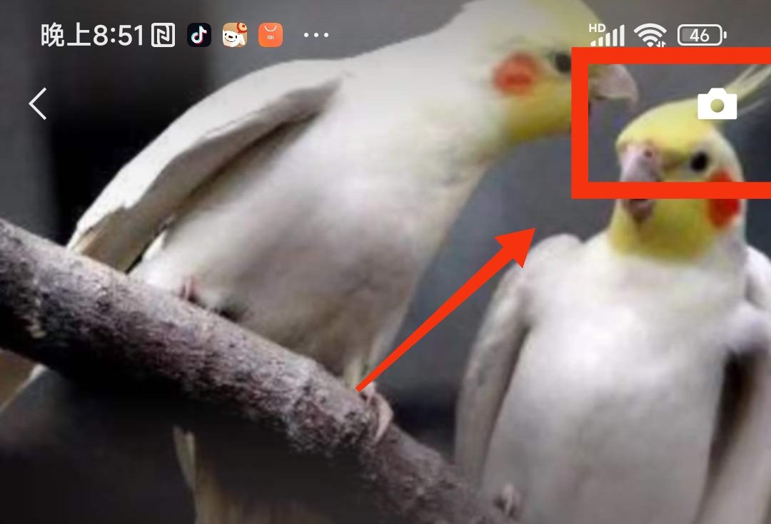 在手机微信的朋友圈里如何发贴