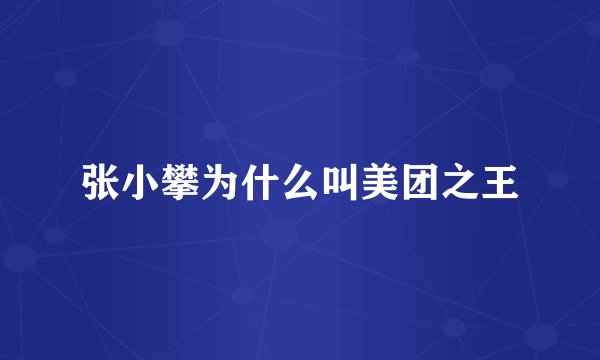 张小攀为什么叫美团之王