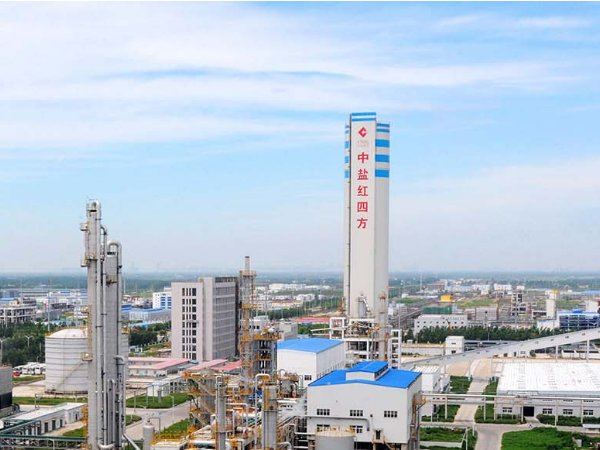 盐的上市公司有哪些