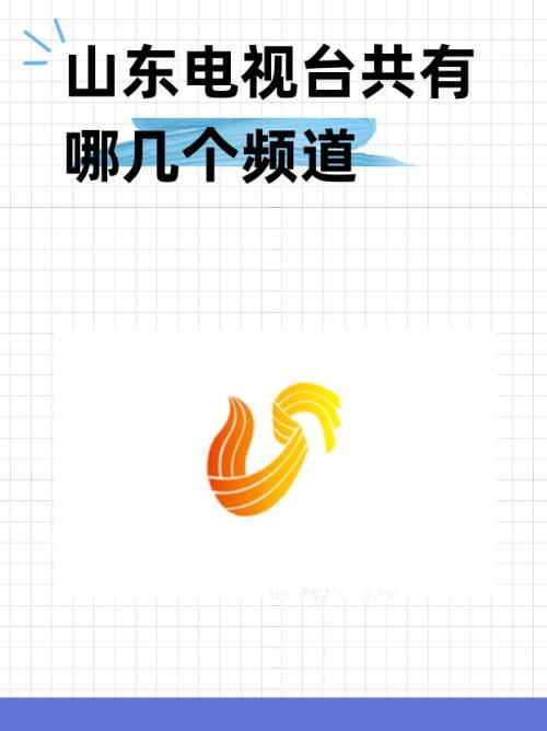 山东电视台共有哪几个频道？