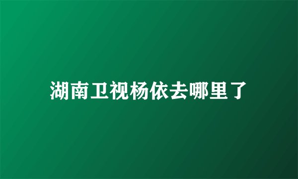 湖南卫视杨依去哪里了