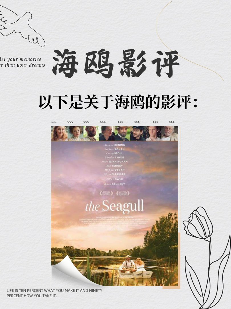 海鸥影评