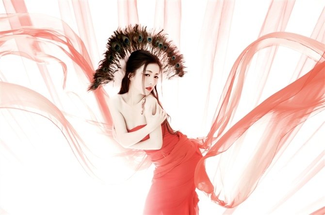 凤舞倾国的内容介绍