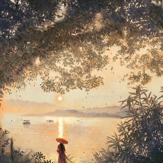 该不该投喂可可西里的狼？