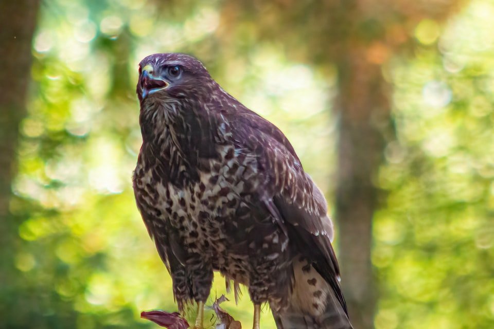 求个冤罪动漫!!