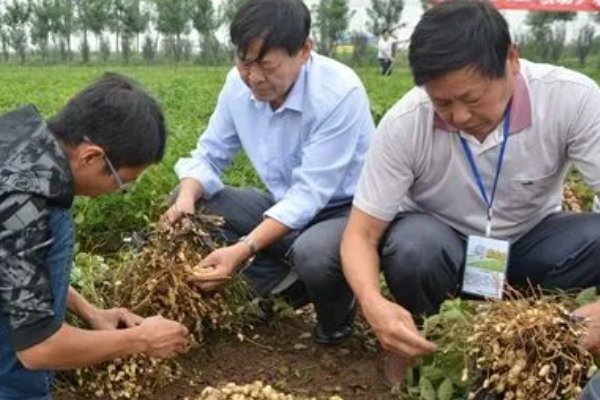 花生会让我们想到生活中那些默默无闻做贡献的人看到下面的词语你会想到哪些人