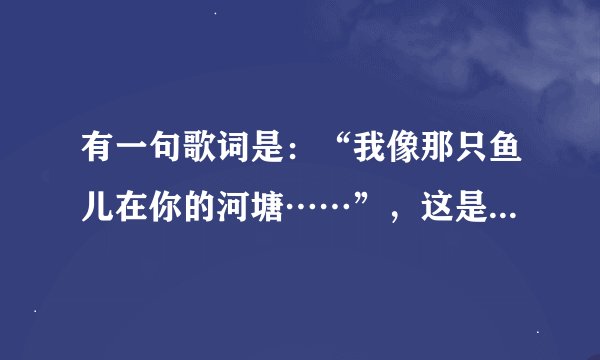 有一句歌词是：“我像那只鱼儿在你的河塘……”，这是什么歌曲？