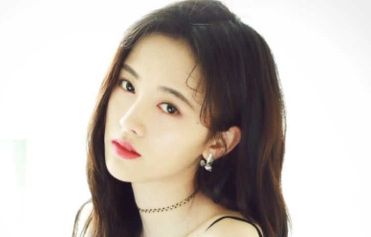 “蜜橘”是哪个明星的粉丝名？