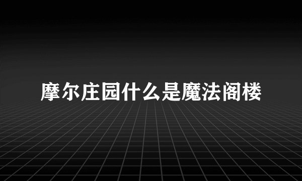 摩尔庄园什么是魔法阁楼