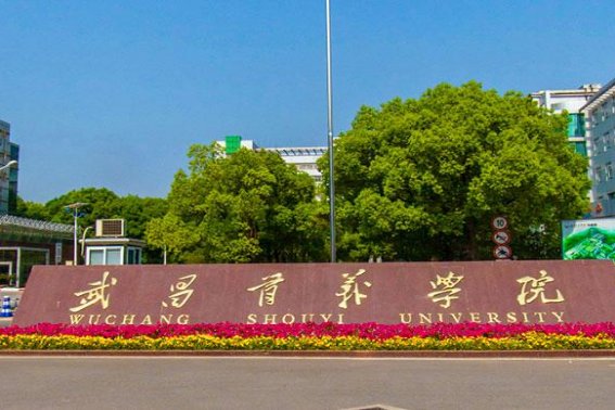 华中科技大学武昌分校是几本?