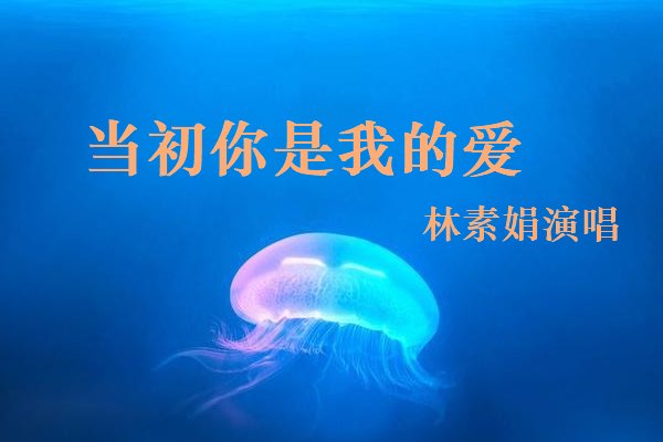 林素娟歌曲合集