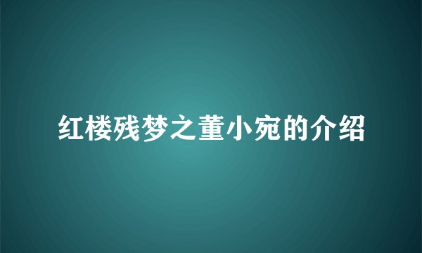 红楼残梦之董小宛的介绍