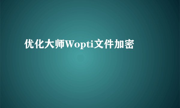 优化大师Wopti文件加密